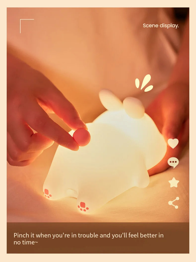 Cute Rabit