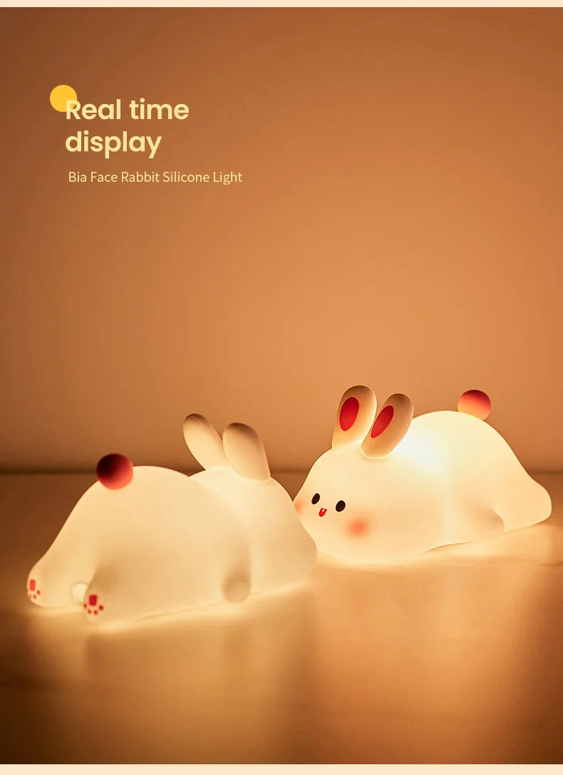 Cute Rabit